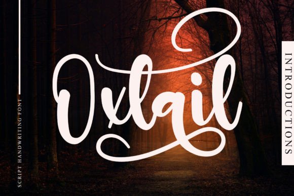 Oxtail: A Stylish Script Font