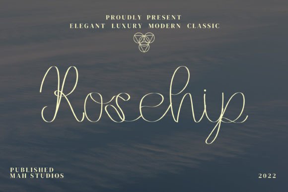 Rosehip: A Quirky Script Font for Creative Projects