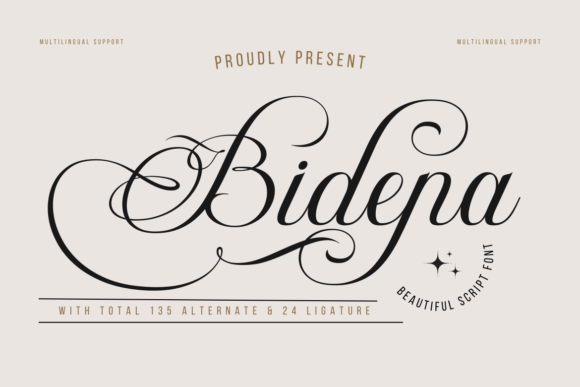 Use Bidena for Elegant Design