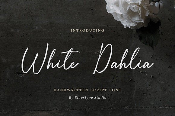 White Dahlia Font: A Romantic Script for Real-World Branding